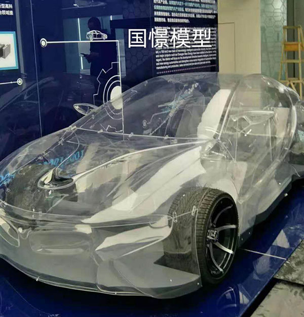 苍梧县透明车模型